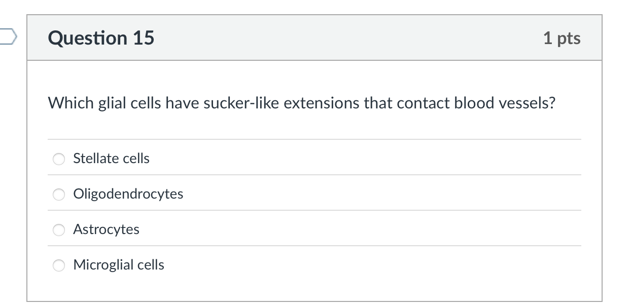 which is the correct answer? Question 15 1 pts