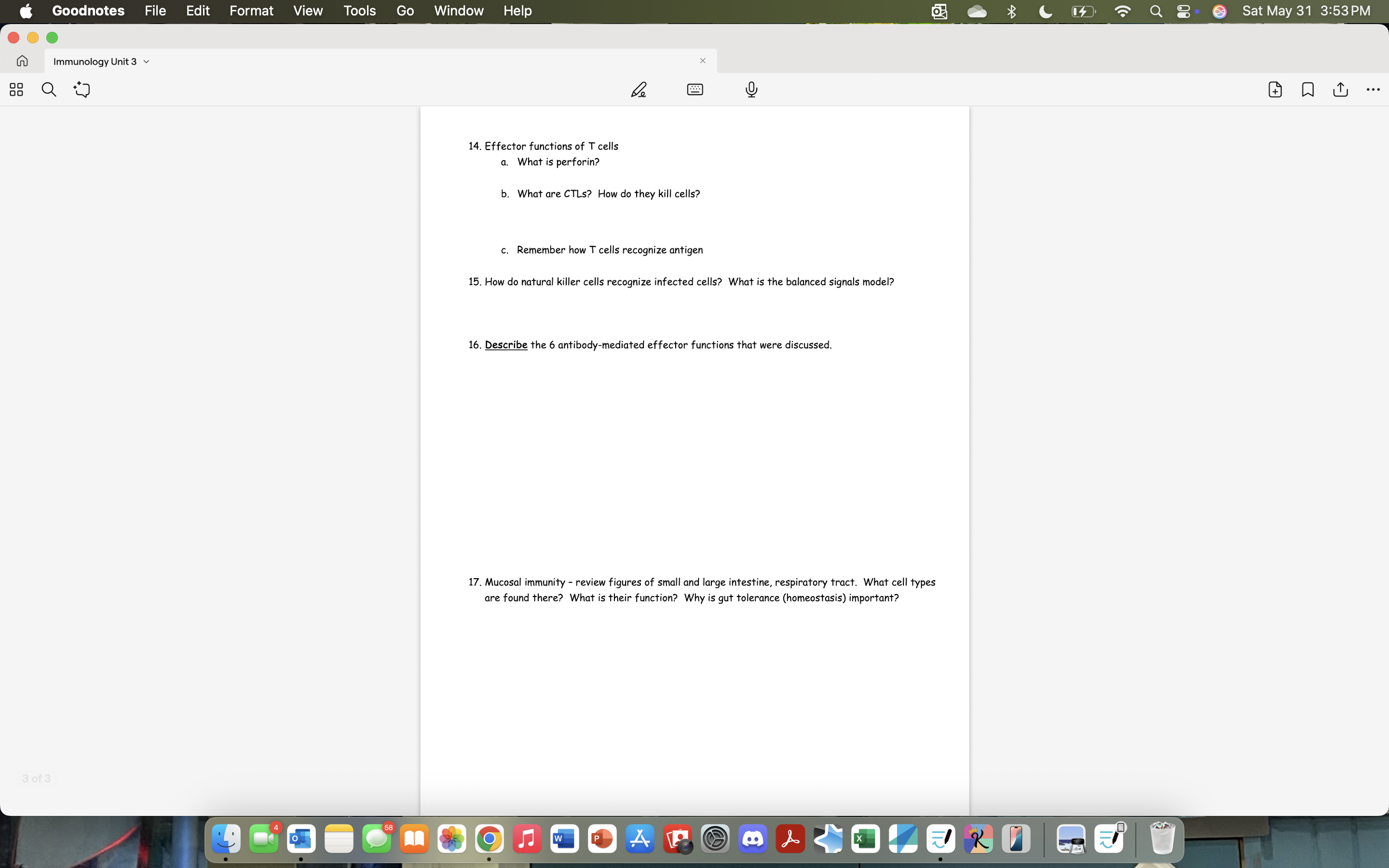Goodnotes File Edit Format View Tools Go Window