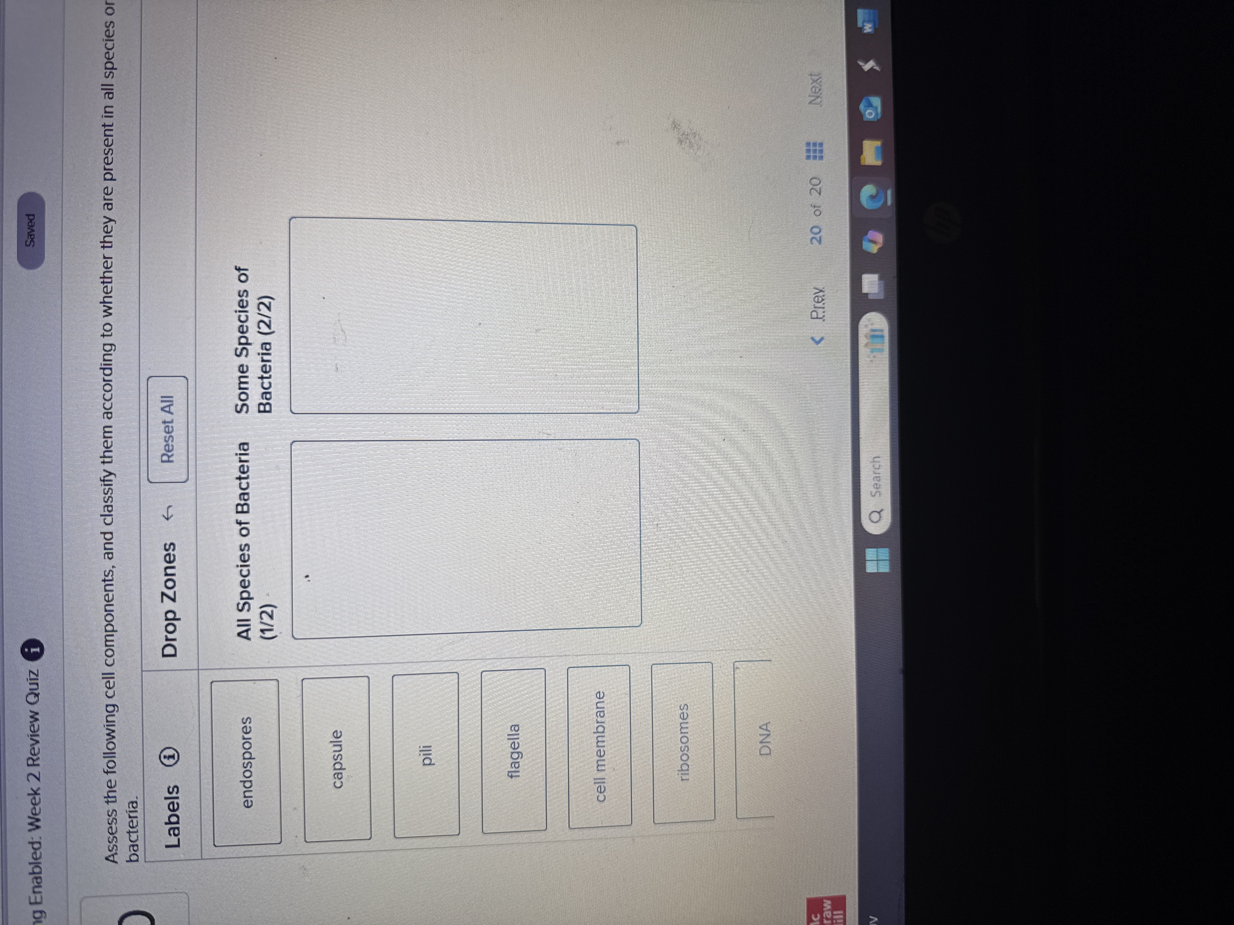 Match with term g Enabled: Week 2 Review Quiz i