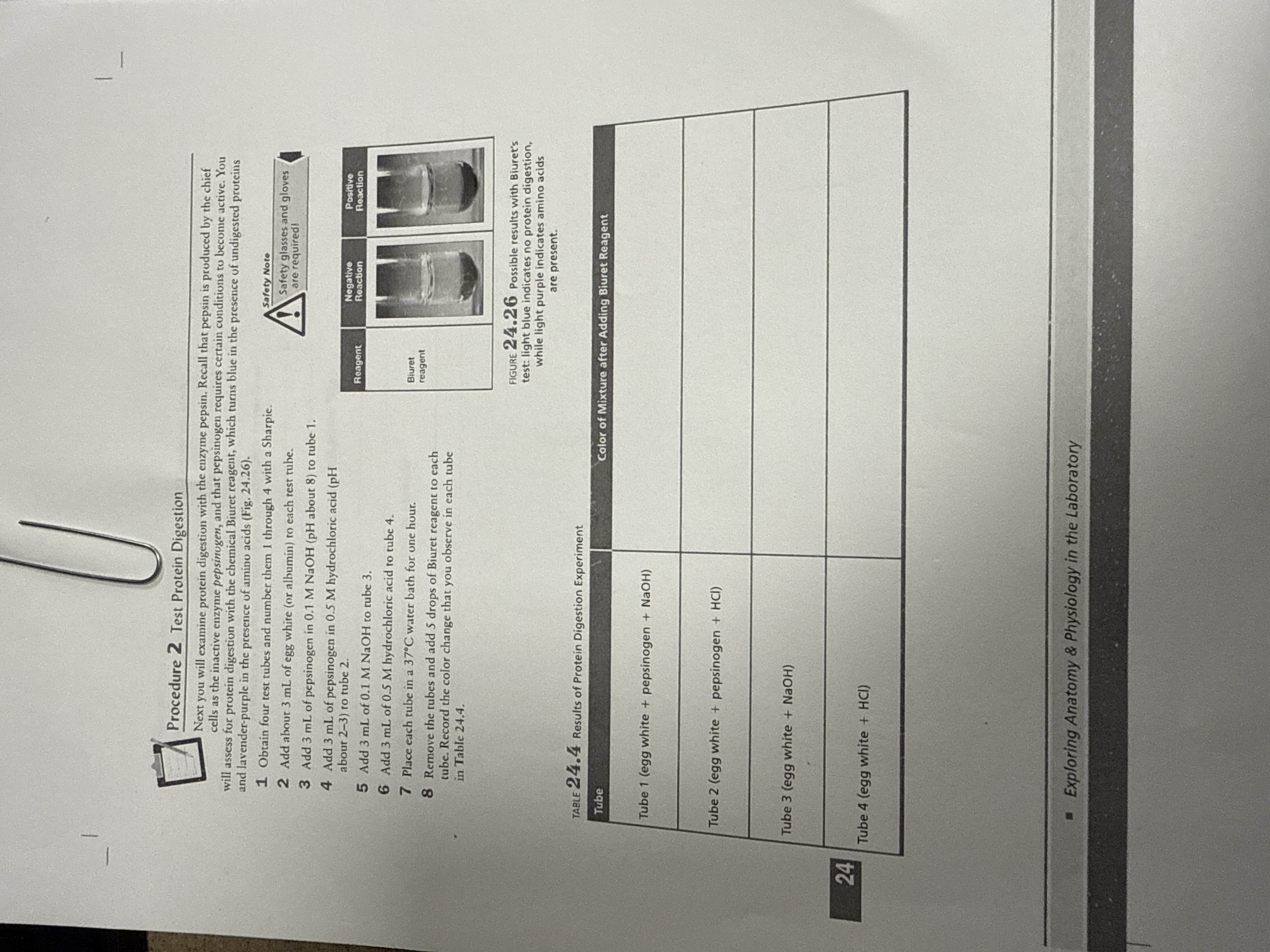 Procedure 2 test protein digestion Procedure 2