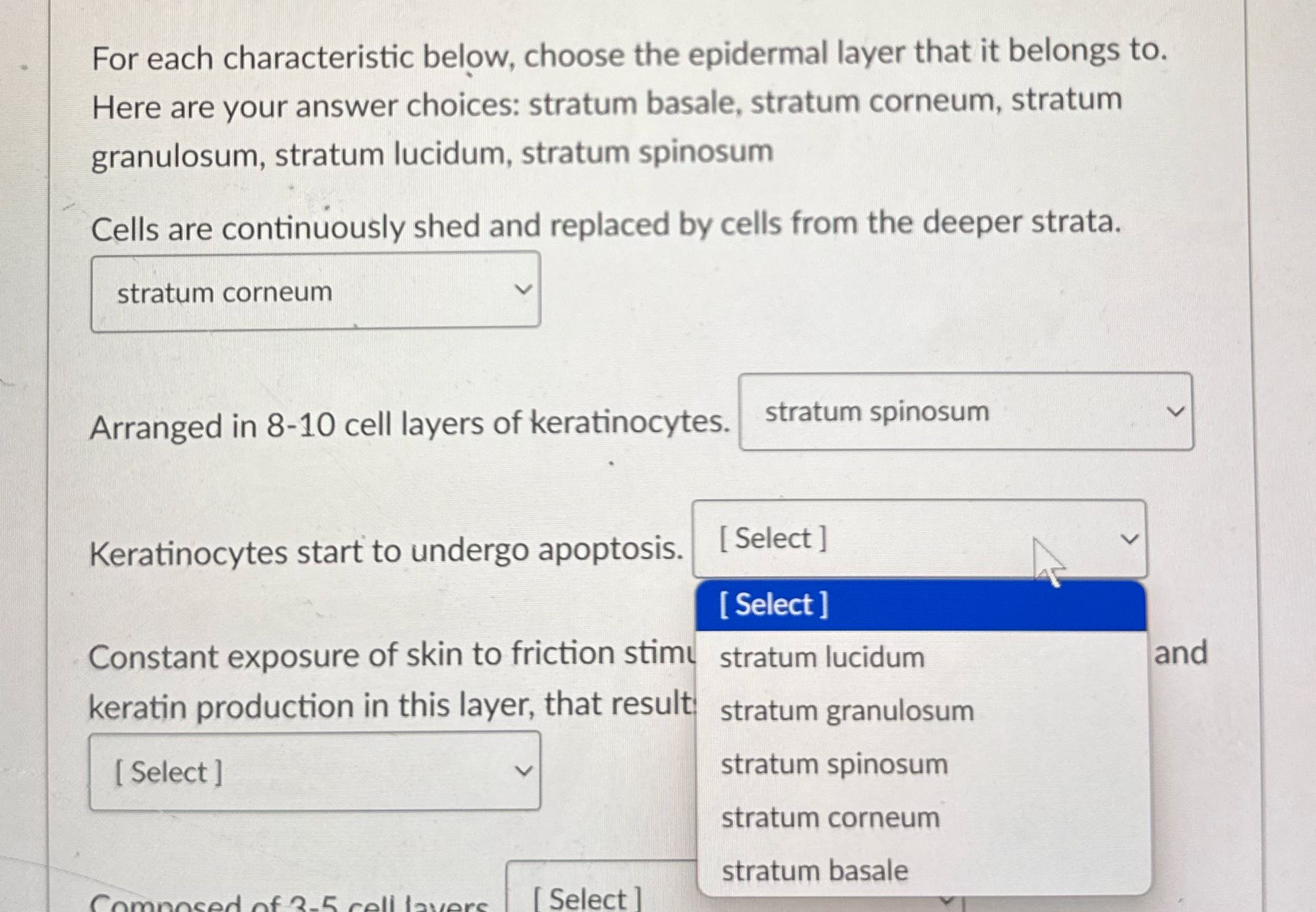 For each characteristic below, choose the