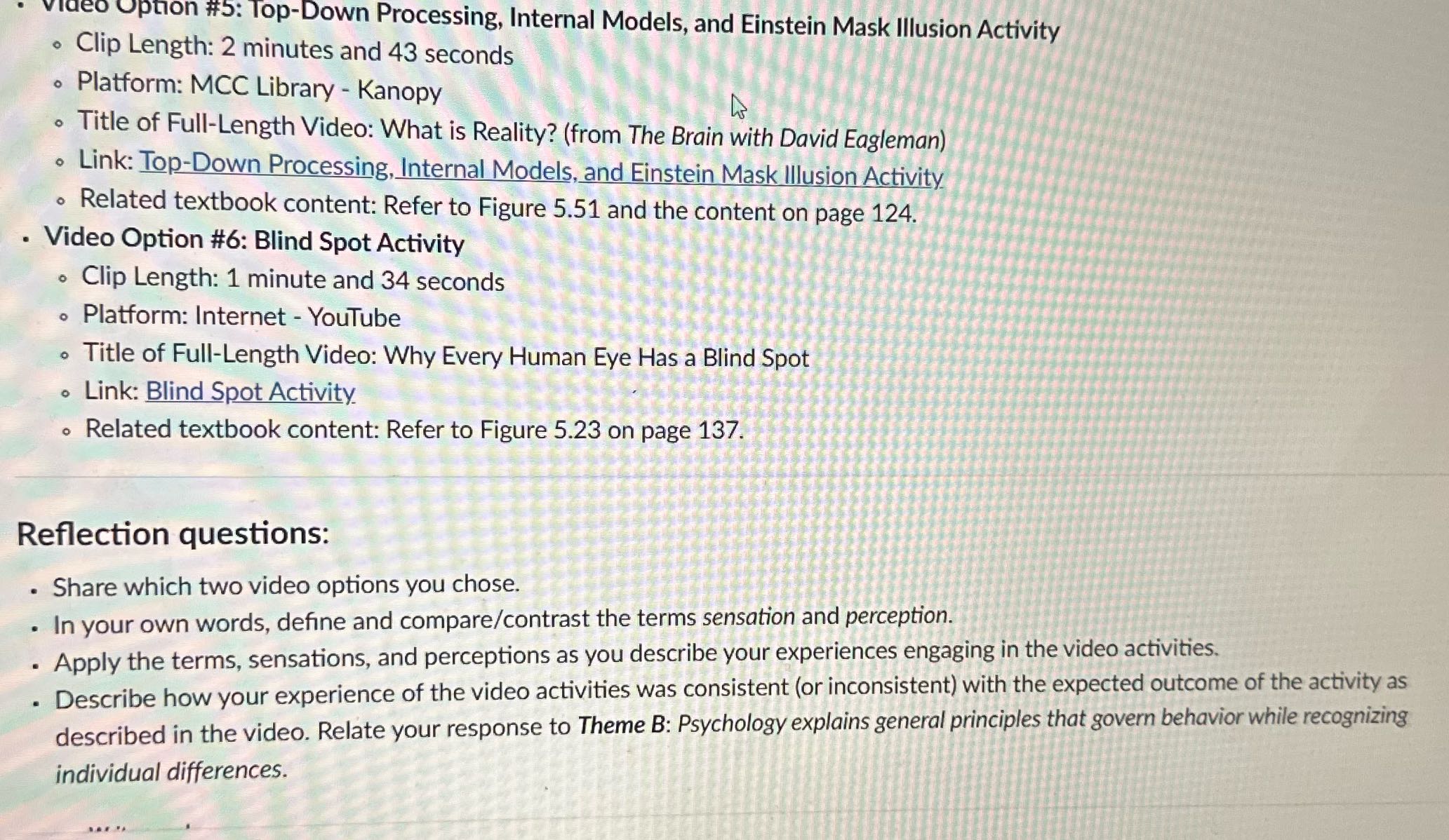 Video Option #5: Top-Down Processing, Internal