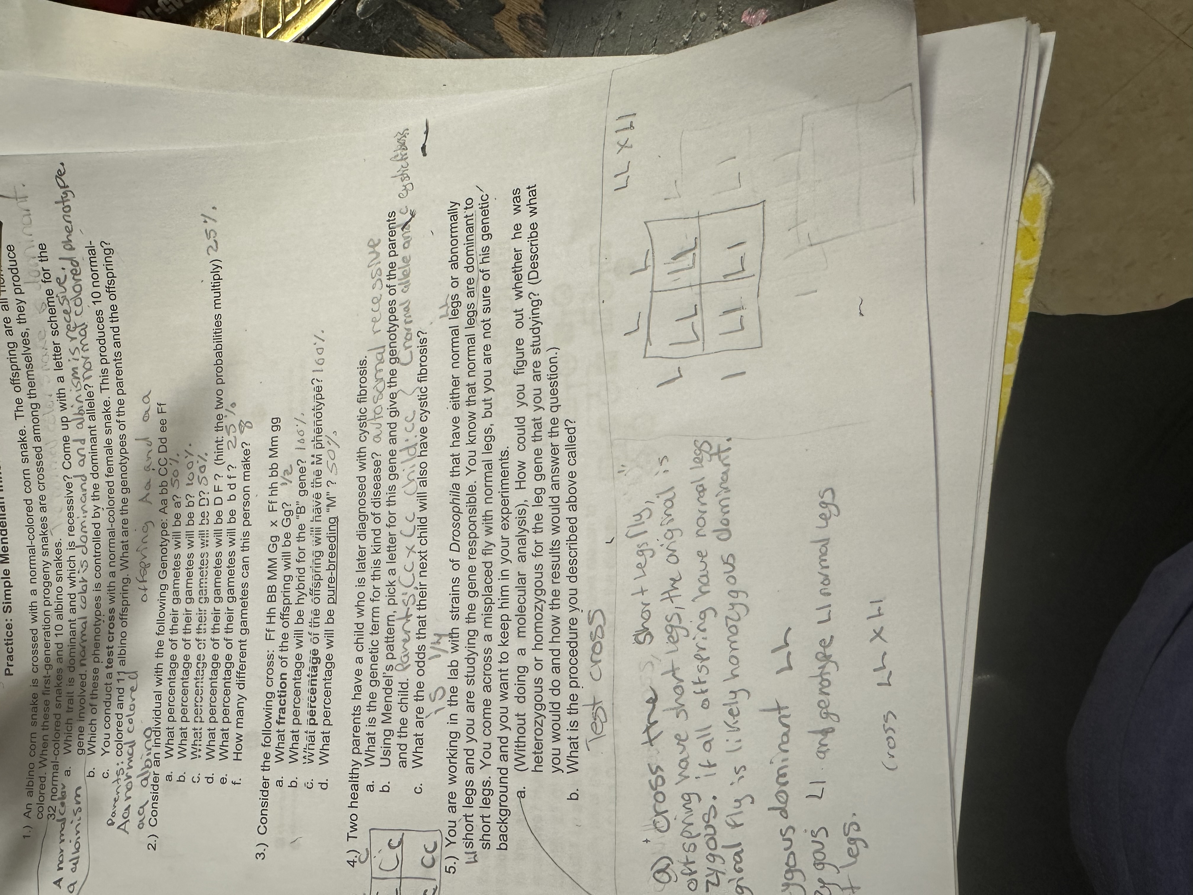 Question 5 Practice: Simple Me 1.) An albino corn