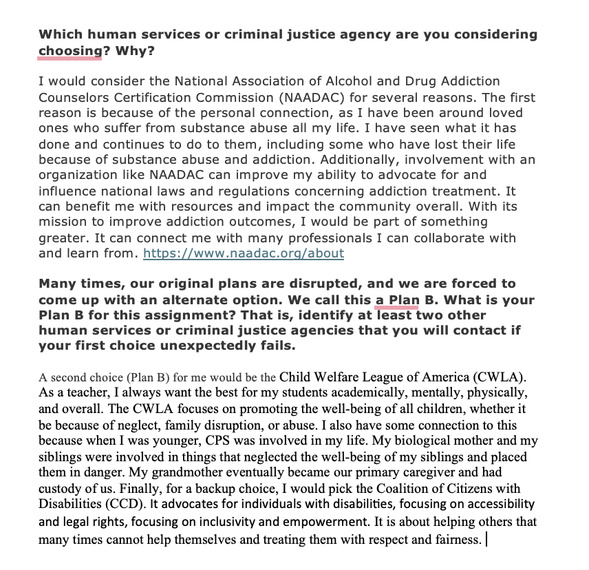 Which human services or criminal justice agency