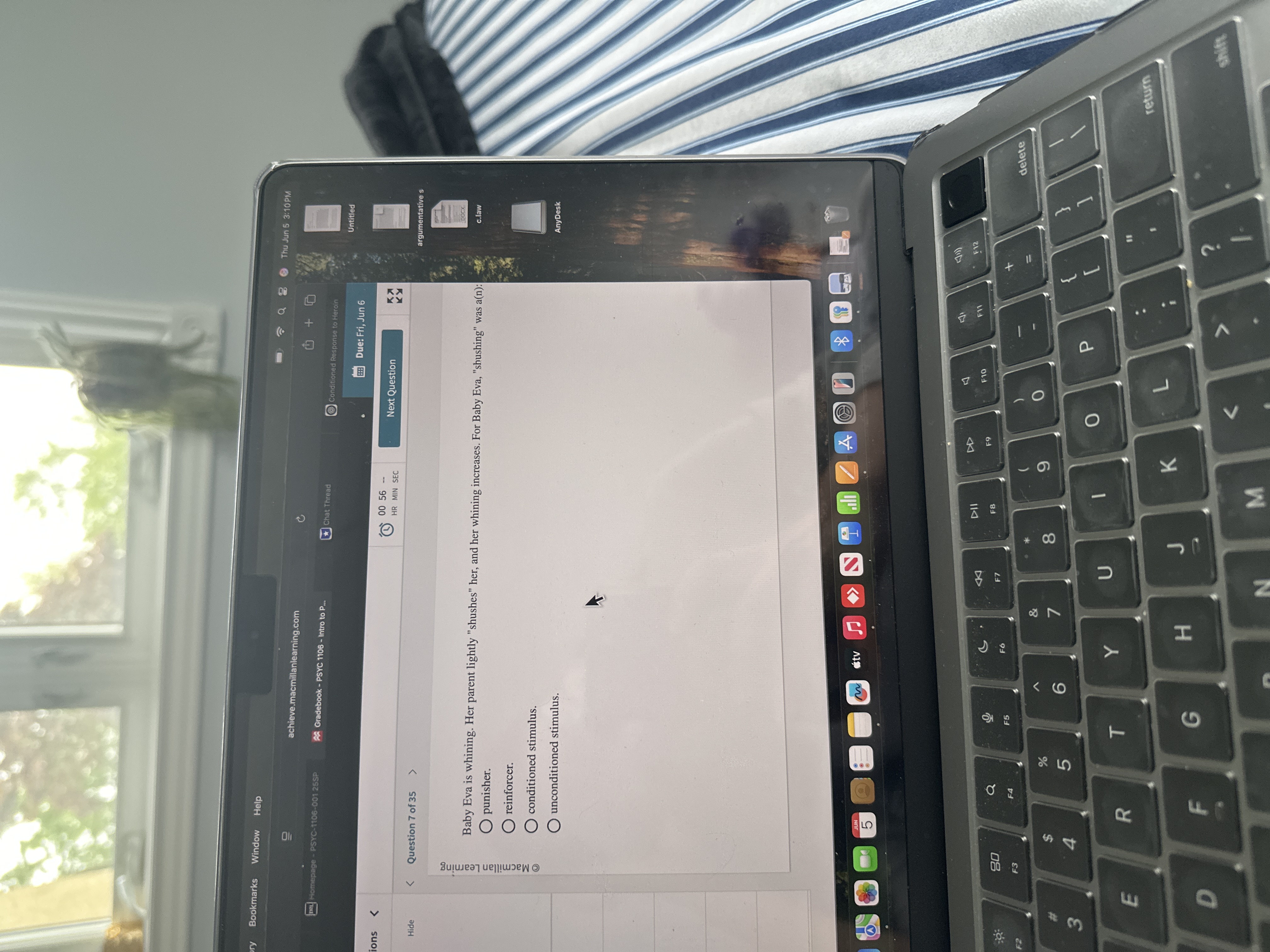 Ans Bookmarks Window Help Q 8 0 Thu Jun 5 3:10 PM