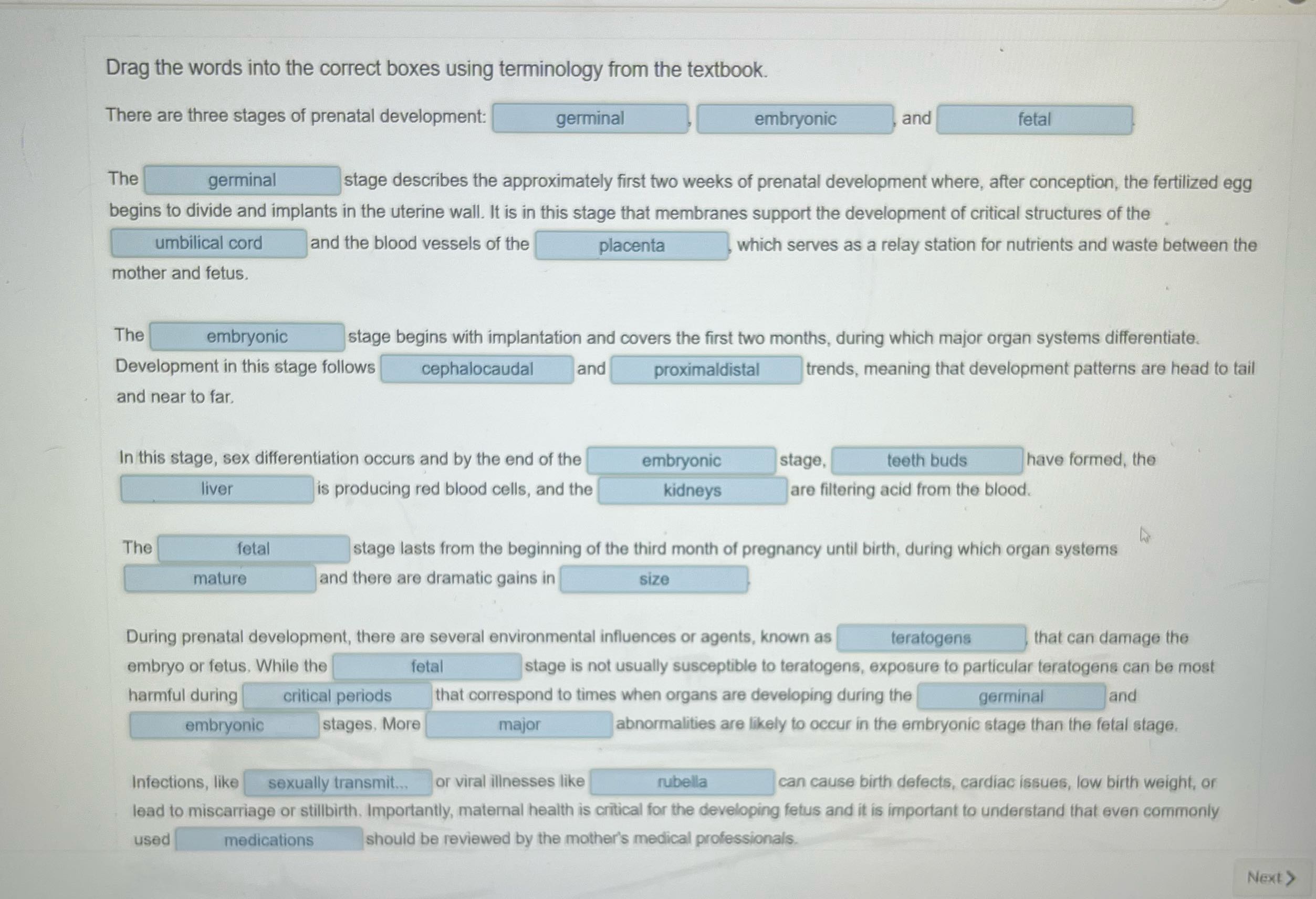 Drag the words into the correct boxes using