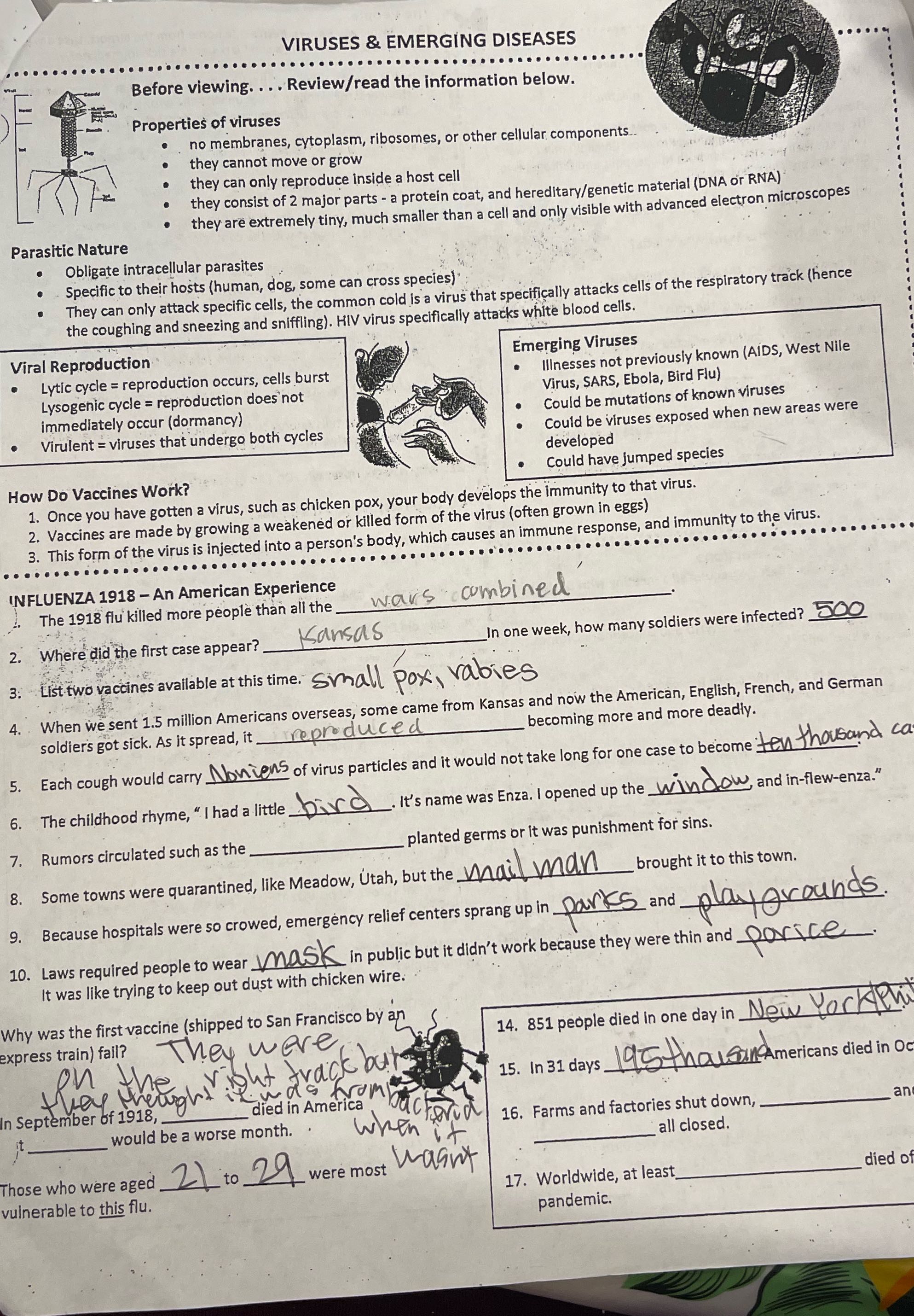 Answers VIRUSES & EMERGING DISEASES . . . . . .