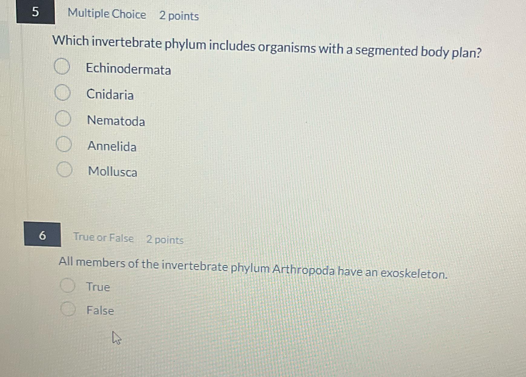 5 Multiple Choice 2 points Which invertebrate