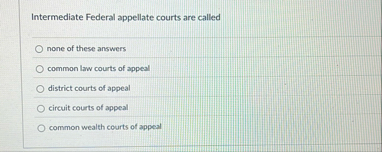 Intermediate Federal appellate courts are called