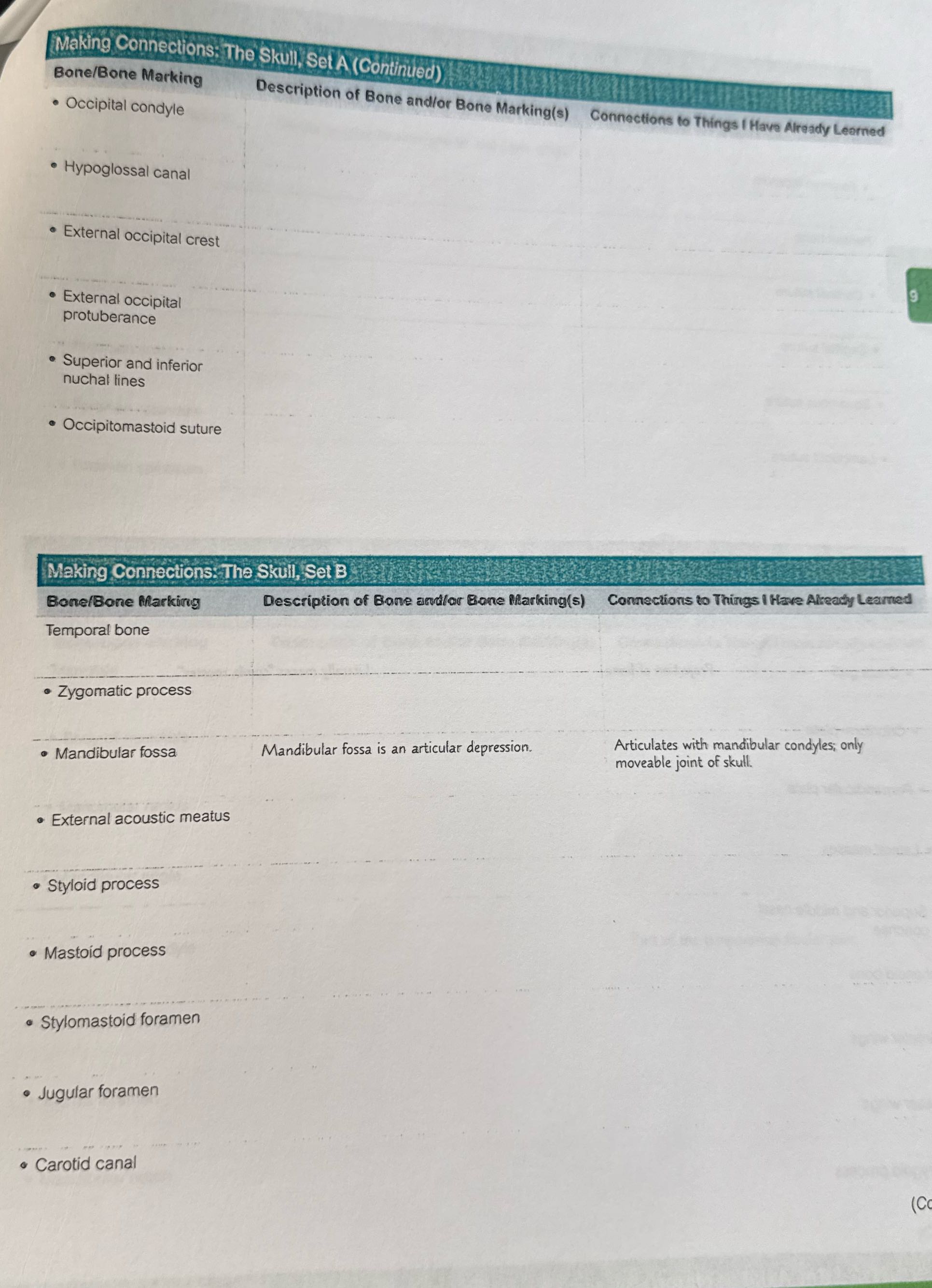help Making Connections: The Skull, Set A