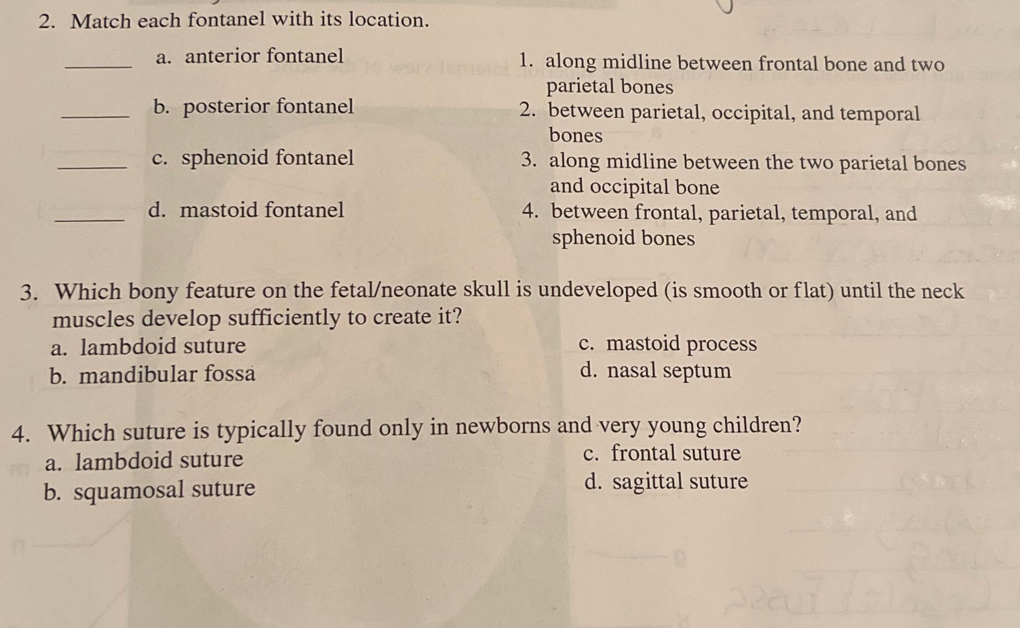 Solve it 2. Match each fontanel with its