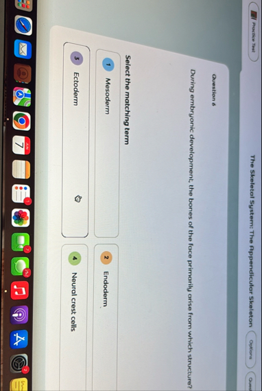 The Skeletal System: The Appendicular Skeleton