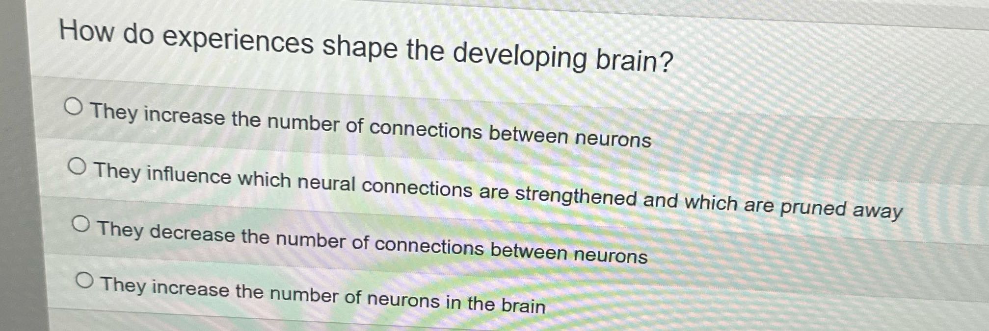 How do experiences shape the developing brain? O