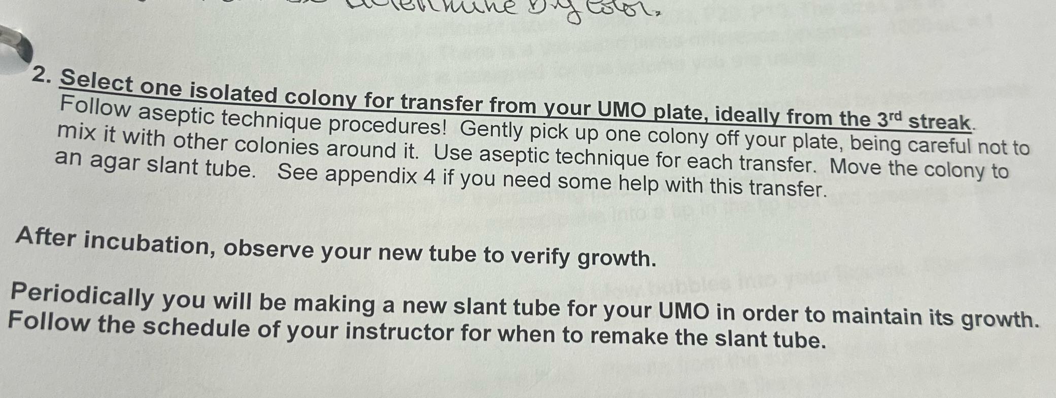 2. Select one isolated colony for transfer from