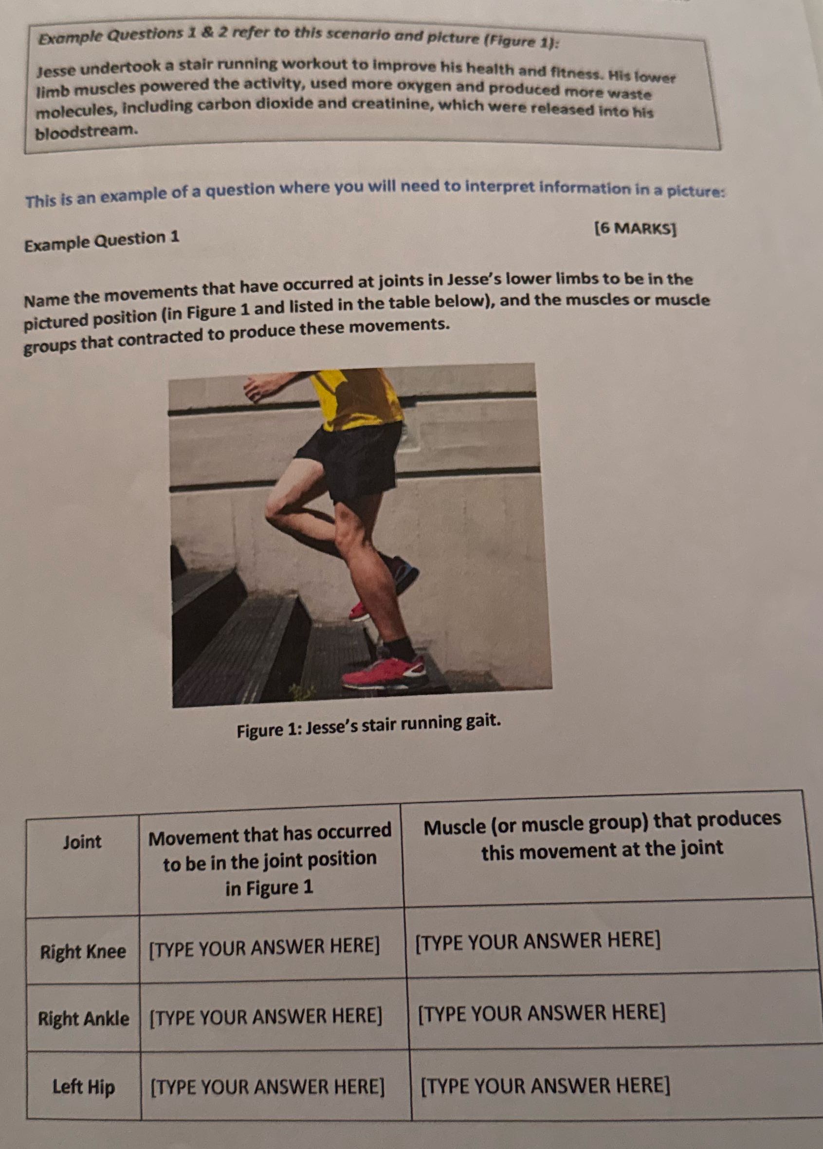 Example Questions 1 & 2 refer to this scenario