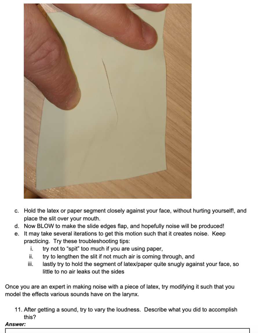 Introductory to Physics: LAB 2 Instructions: