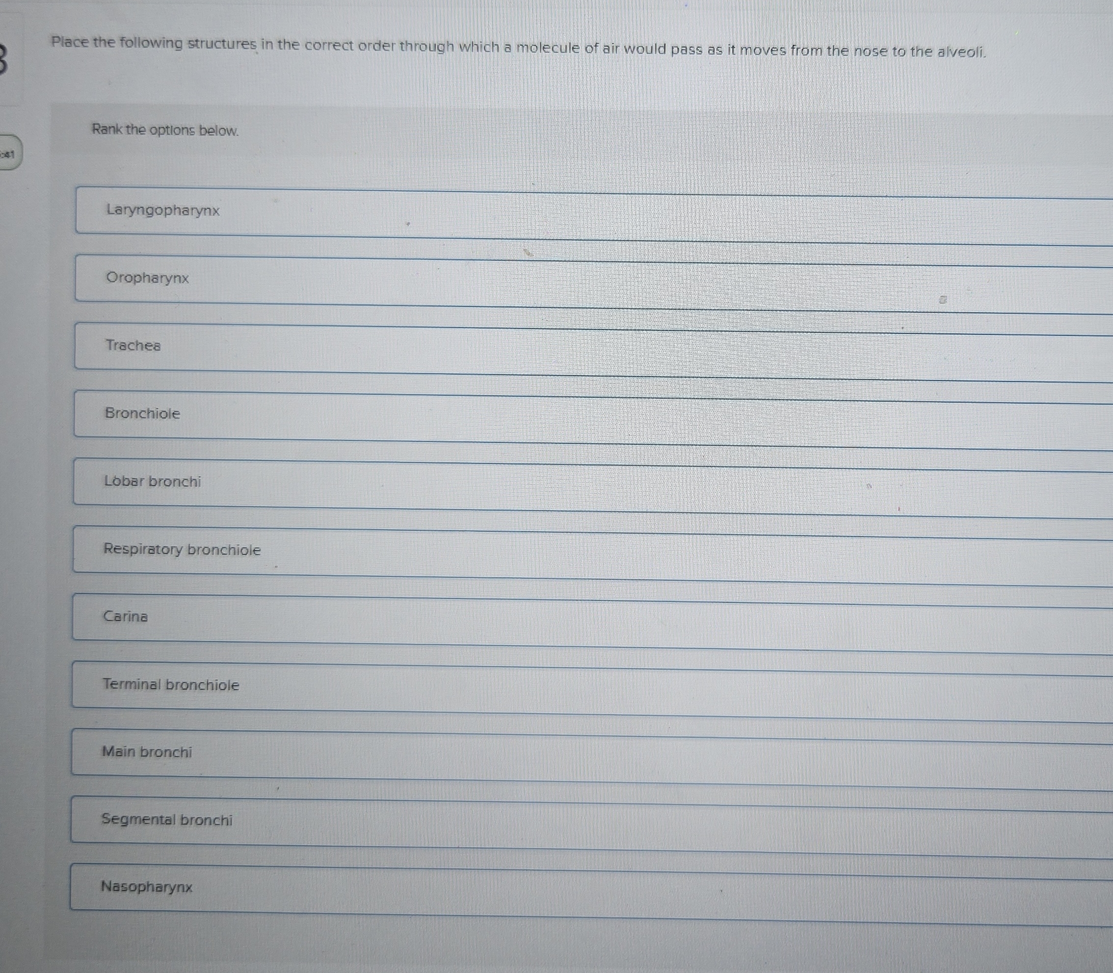 Place the following structures in the correct