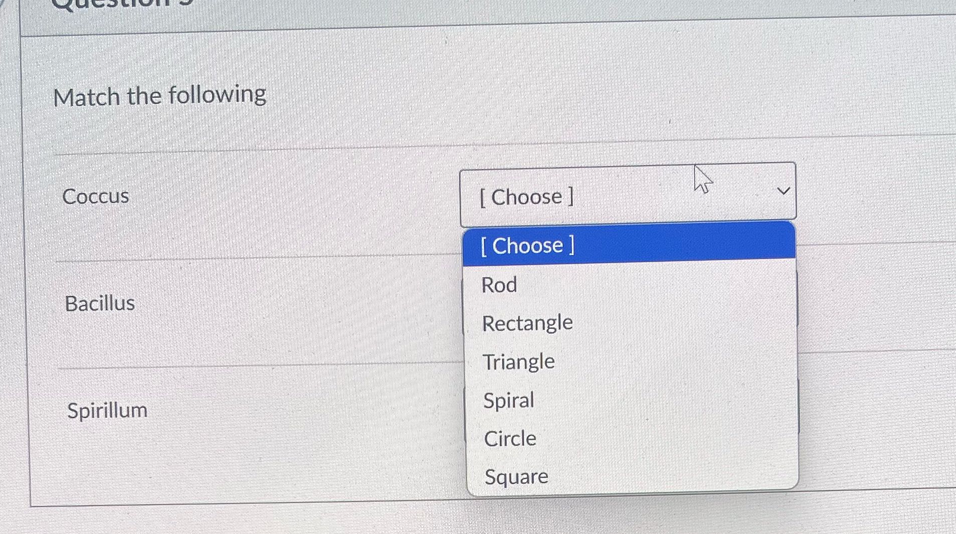 Match the following Coccus [ Choose ] [ Choose ]