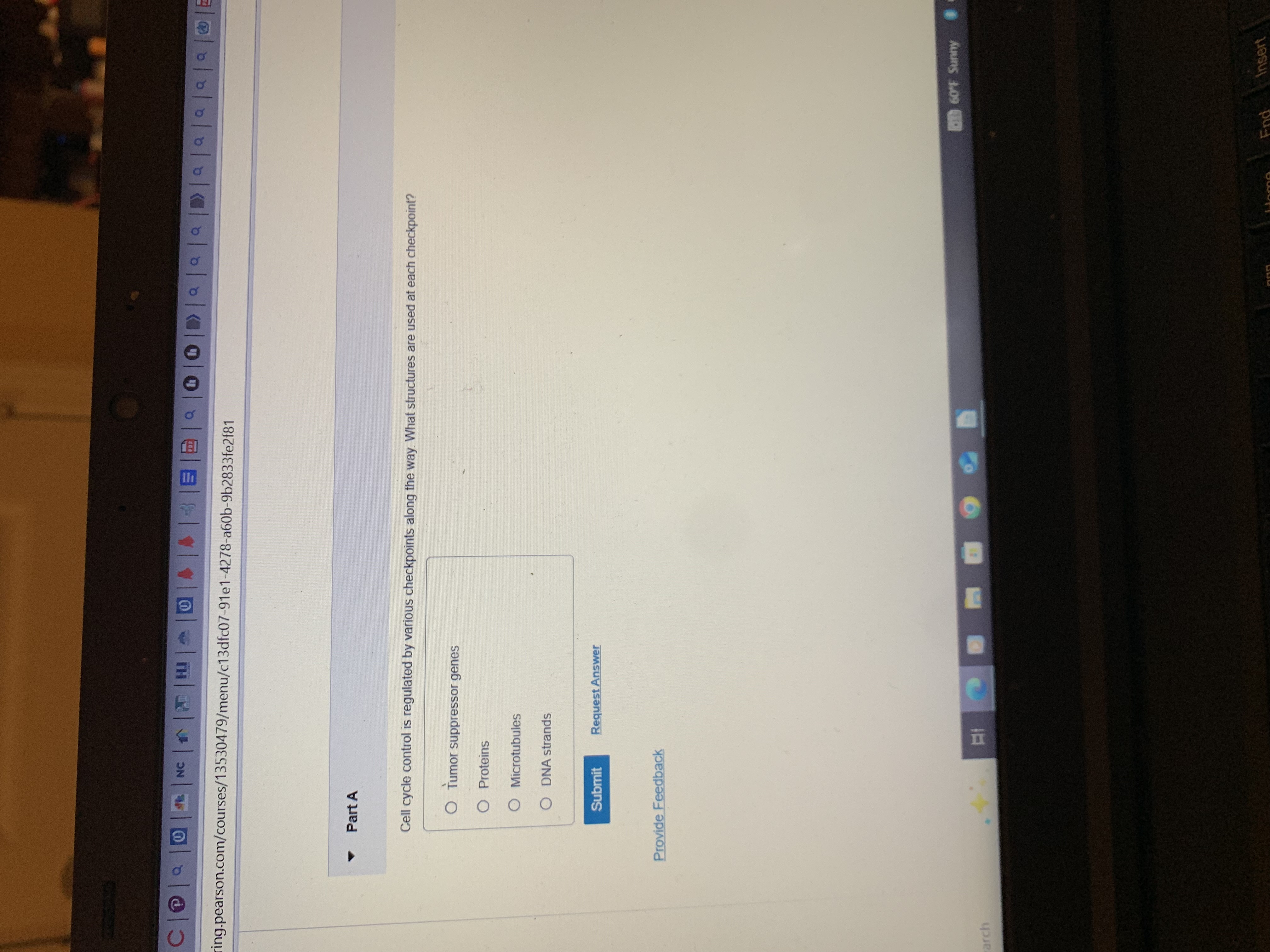 ring.pearson.com/courses/13530479/menu/c13dfc07-91