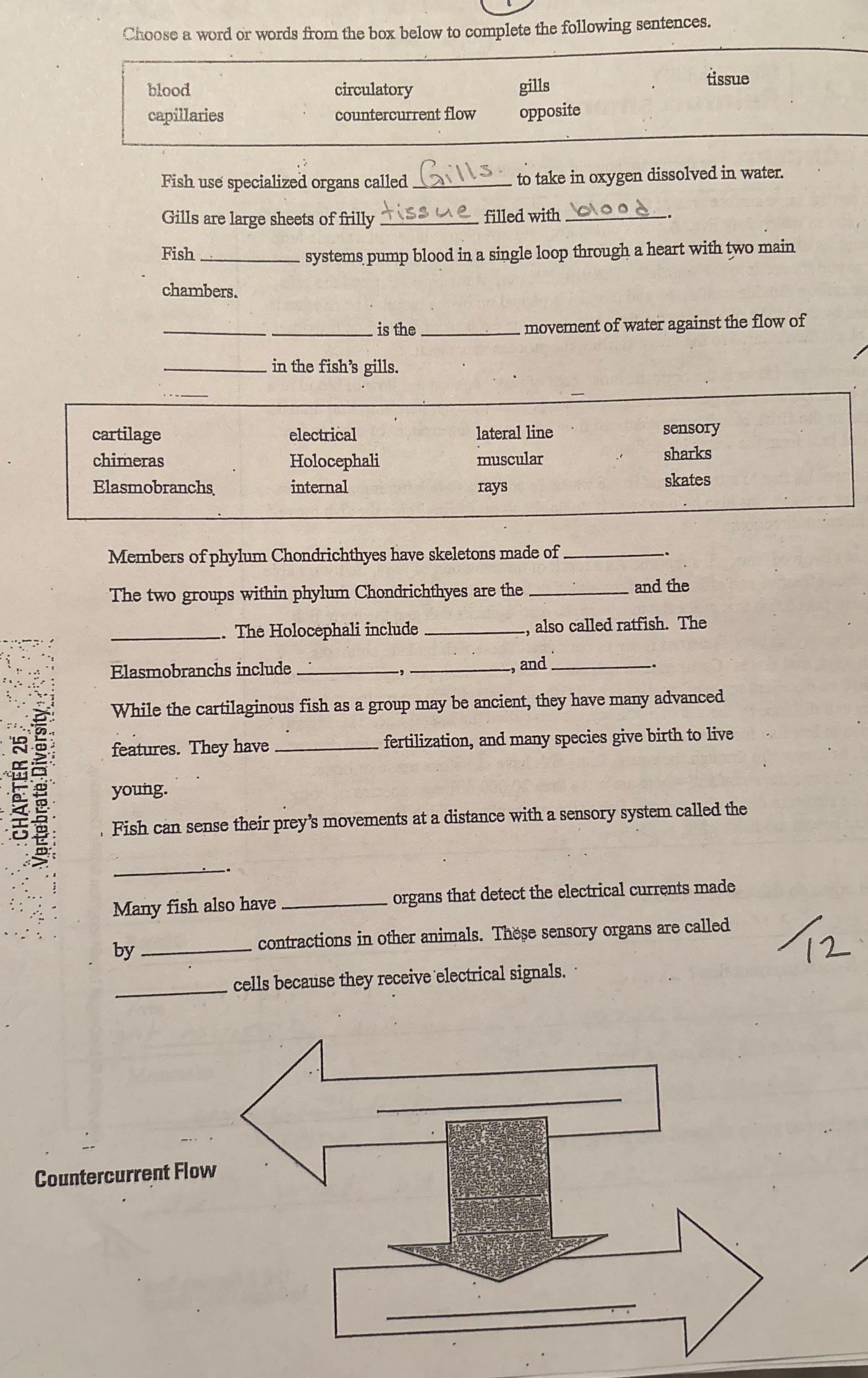 Answer key Choose a word or words from the box
