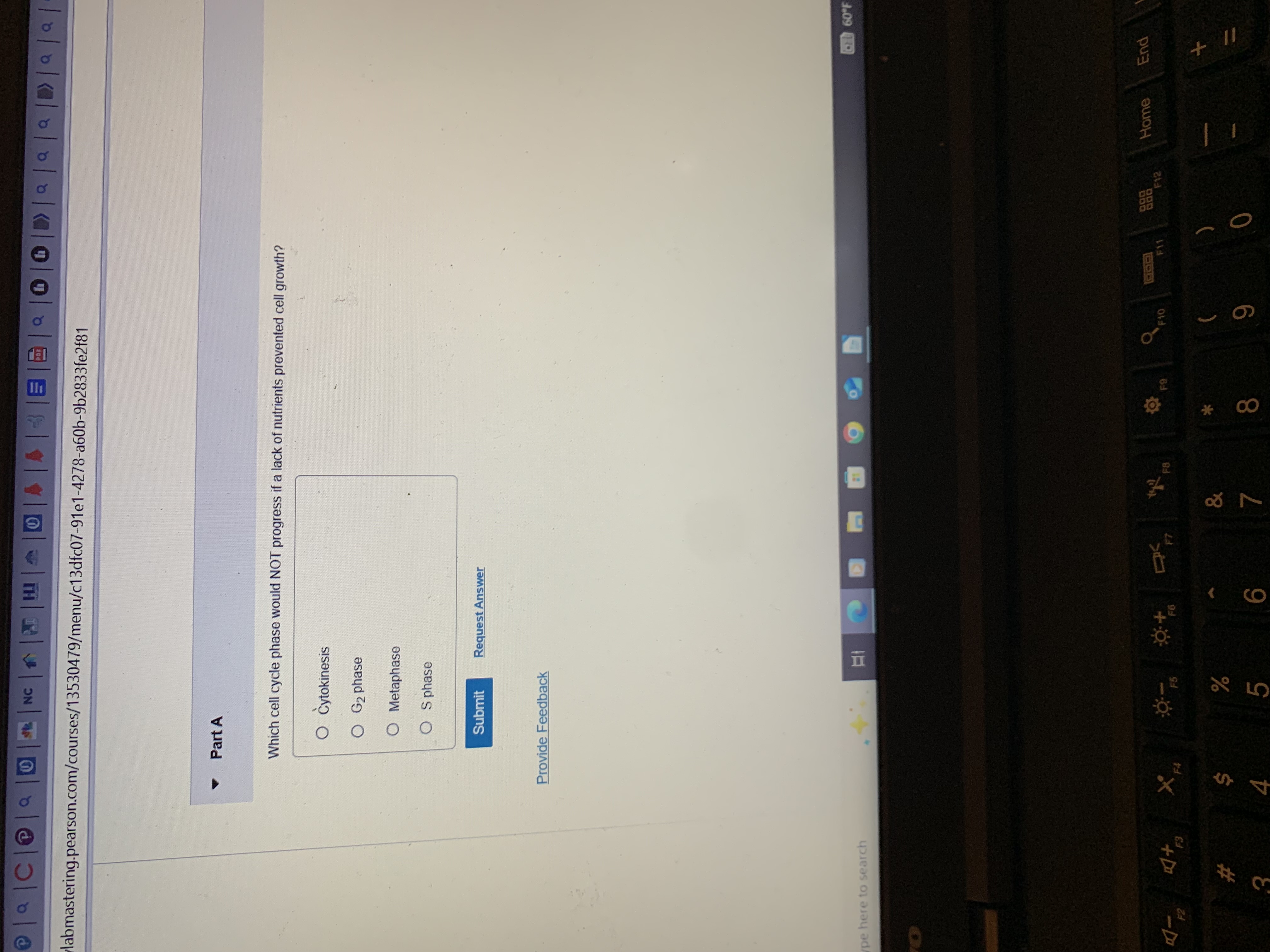 P | a | C | e | a | 0 | | NC | 7 | 2 0 | 4 4 1 |