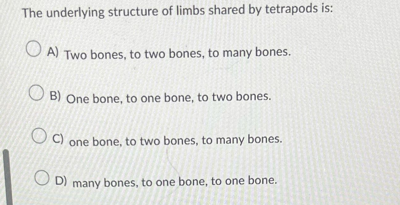The underlying structure of limbs shared by