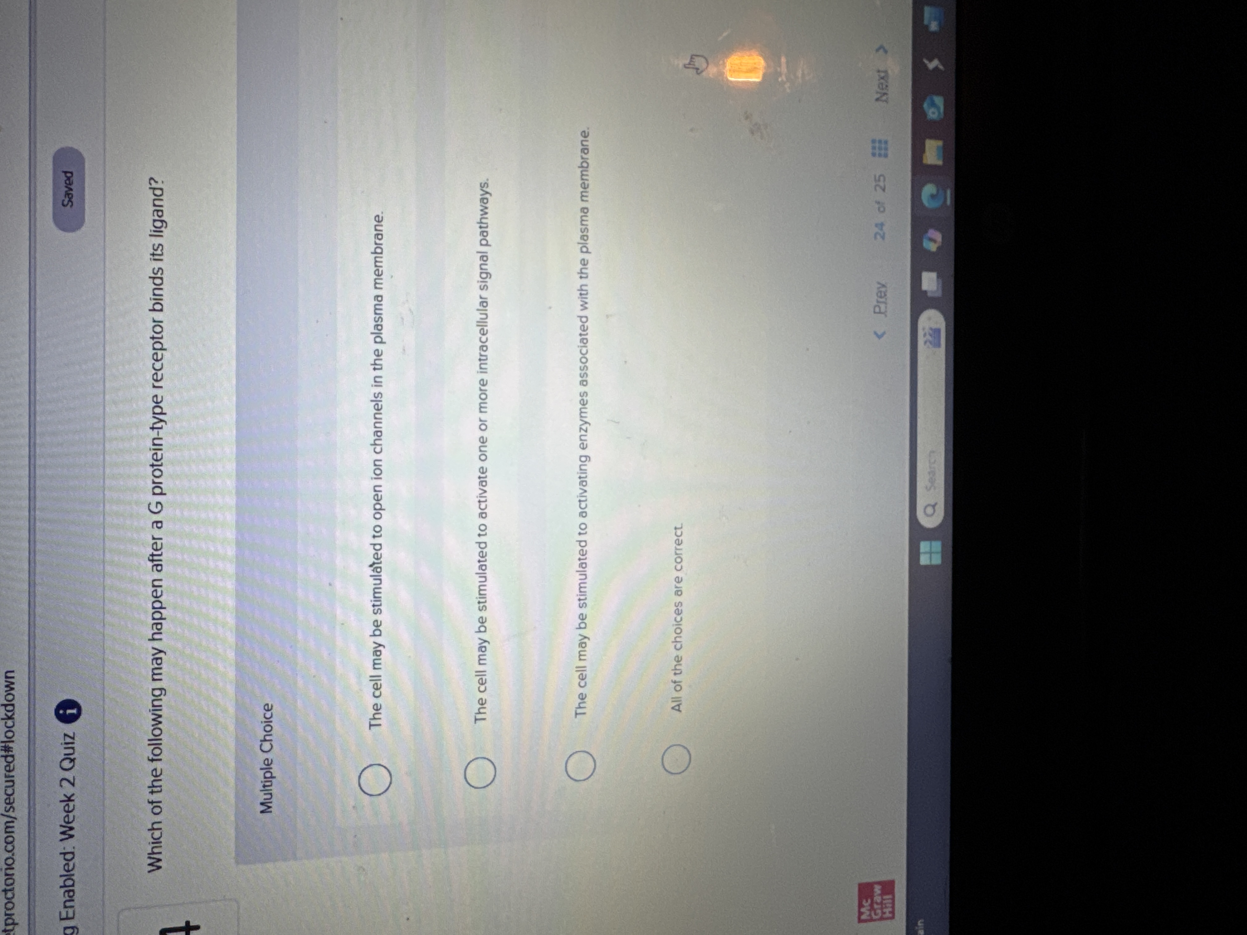 What is the correct answer