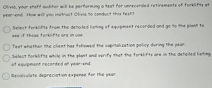 Olivia, your staff auditor will be performing a