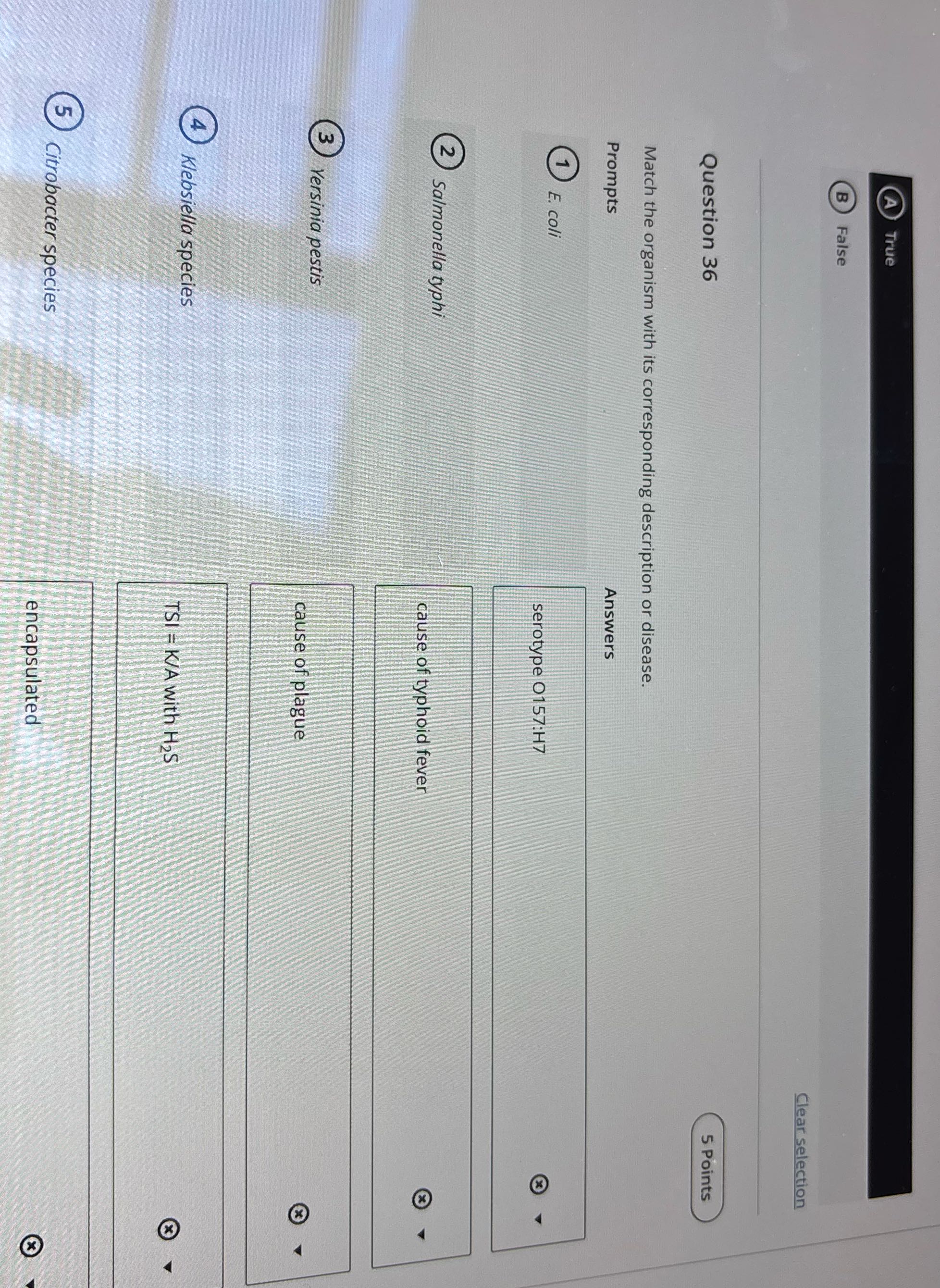 True False Clear selection Question 36 5 Points