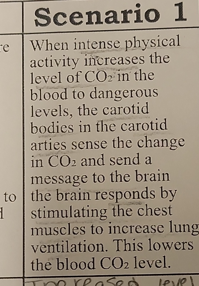 Scenario 1 e When intense physical activity