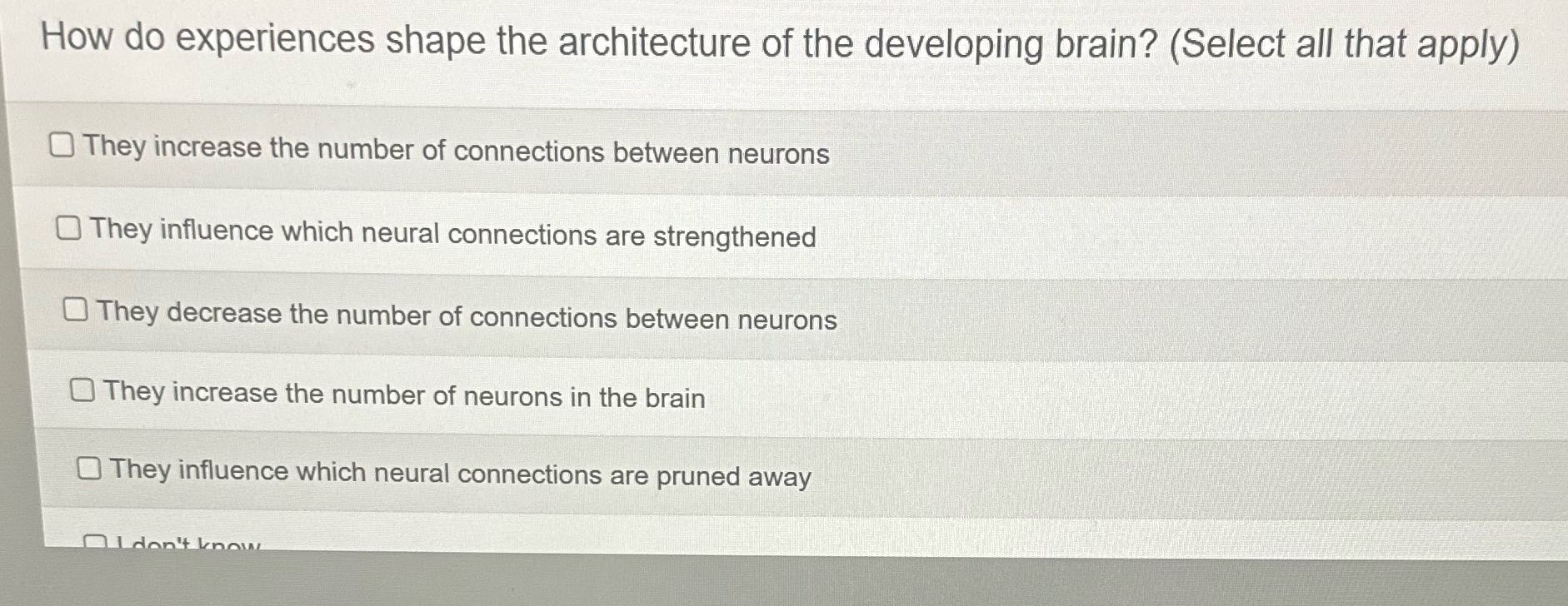 How do experiences shape the architecture of the
