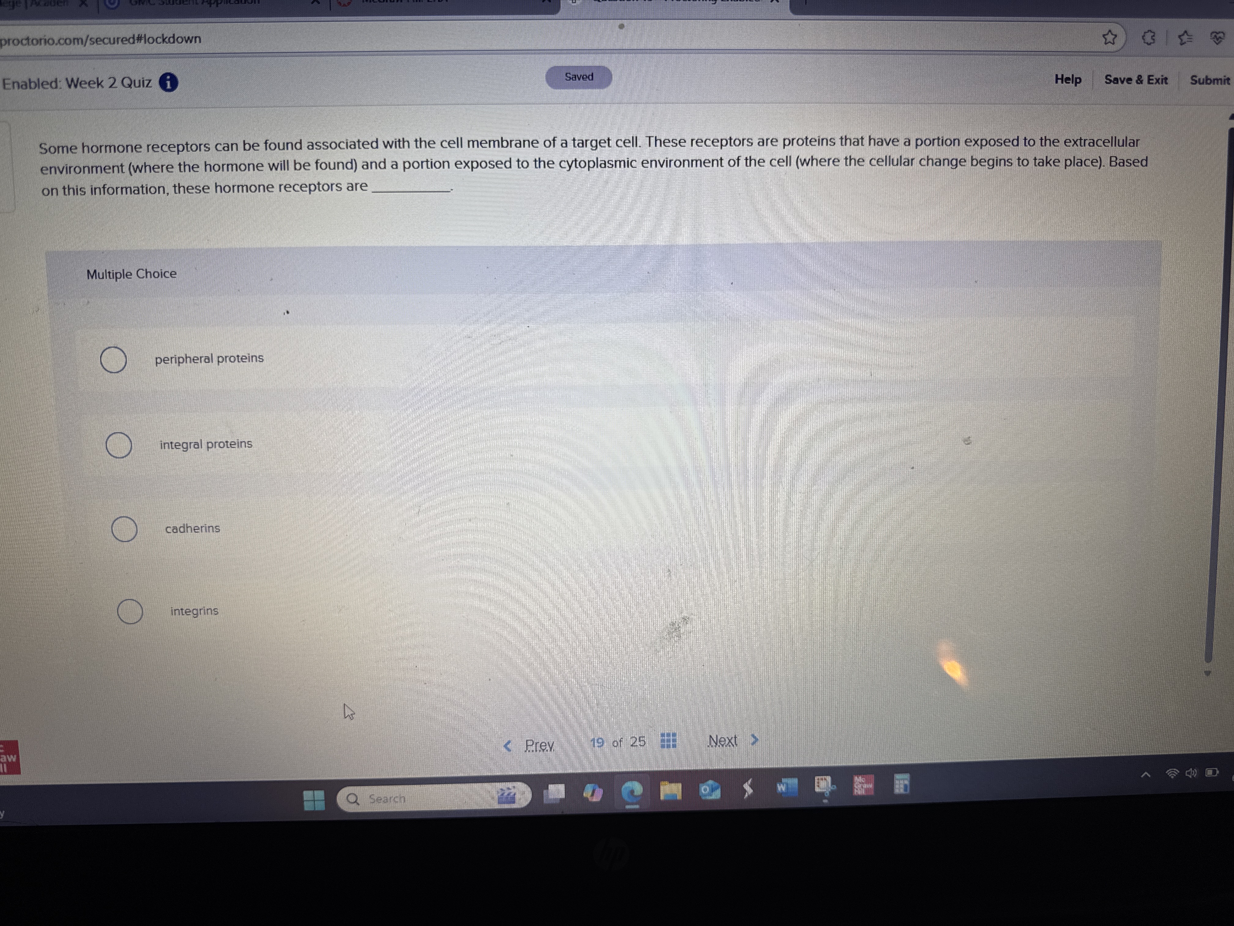 Fill in the blank proctorio.com/secured#lockdown