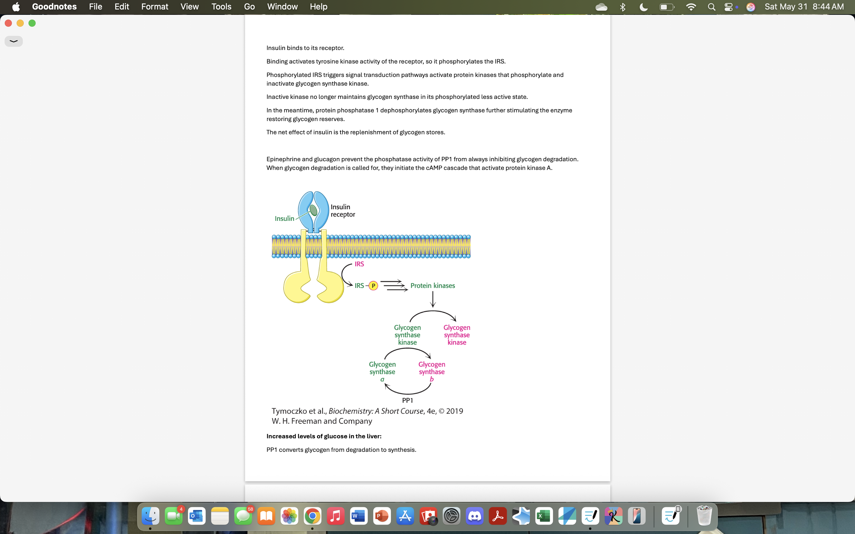 Goodnotes File Edit Format View Tools Go Window
