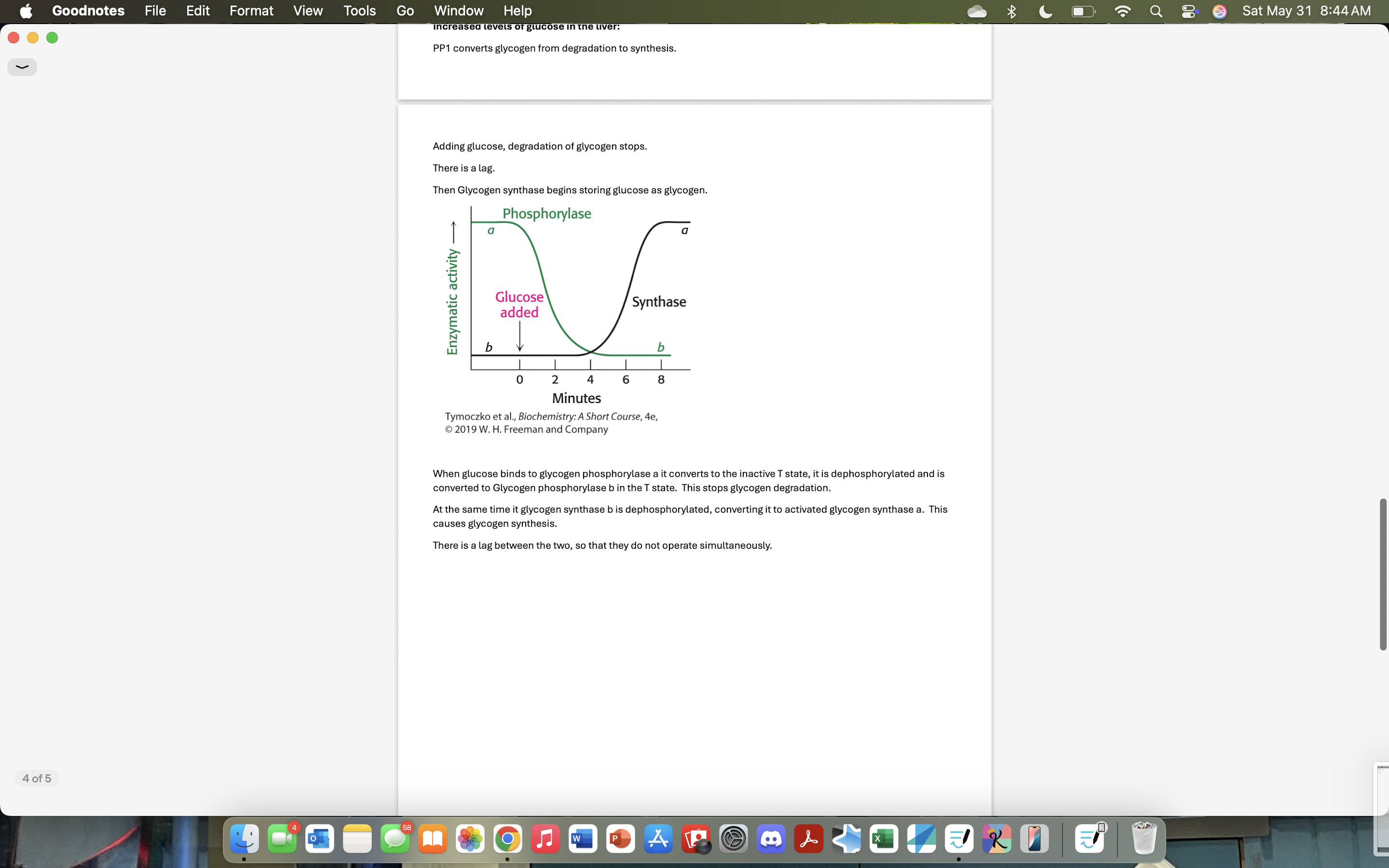 Goodnotes File Edit Format View Tools Go Window