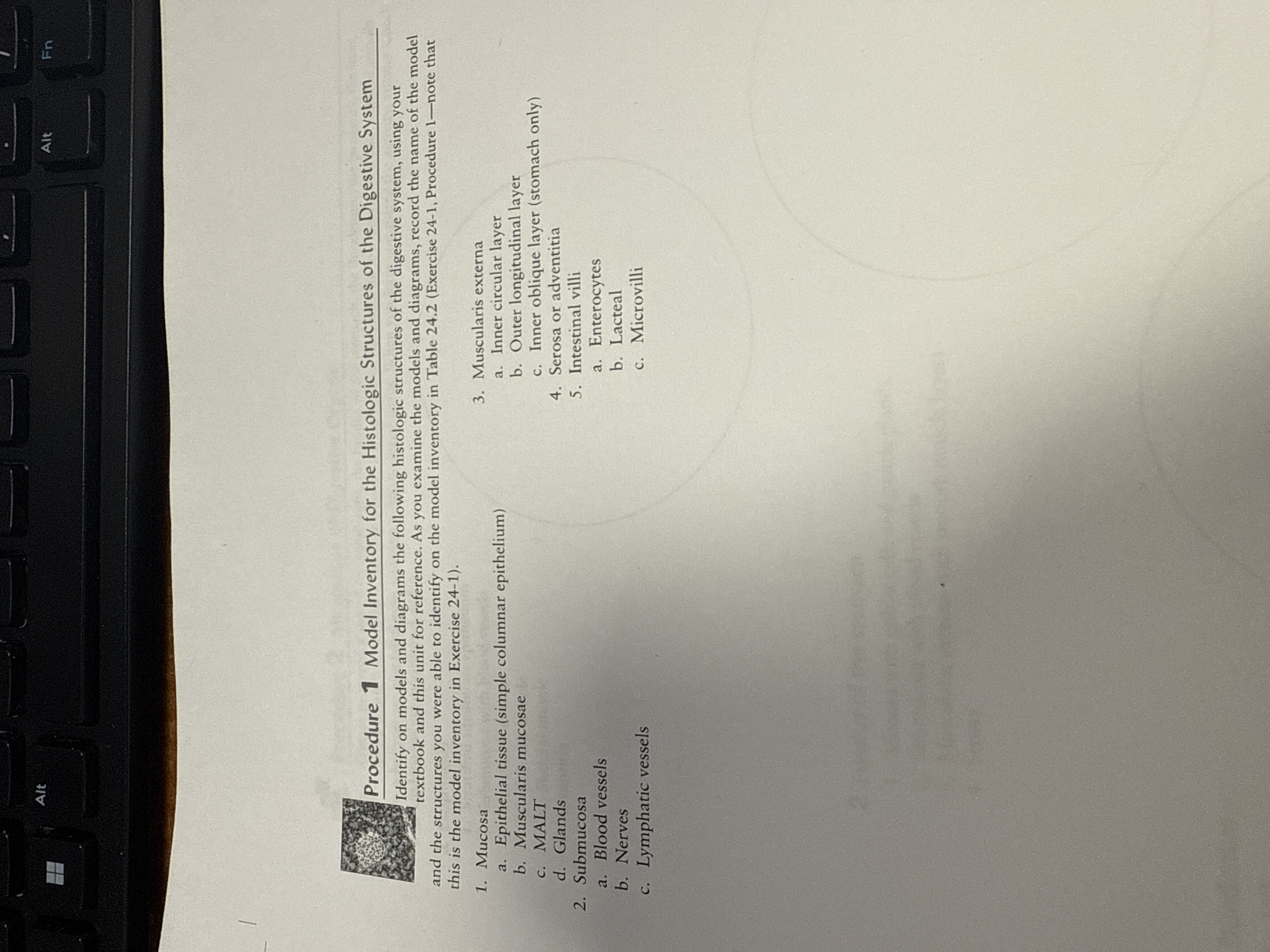 Fn Procedure 1 Model Inventory for the Histologic