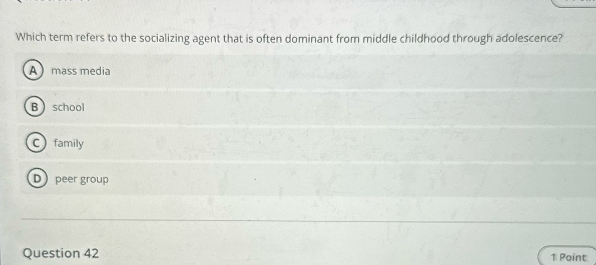 Which term refers to the socializing agent that