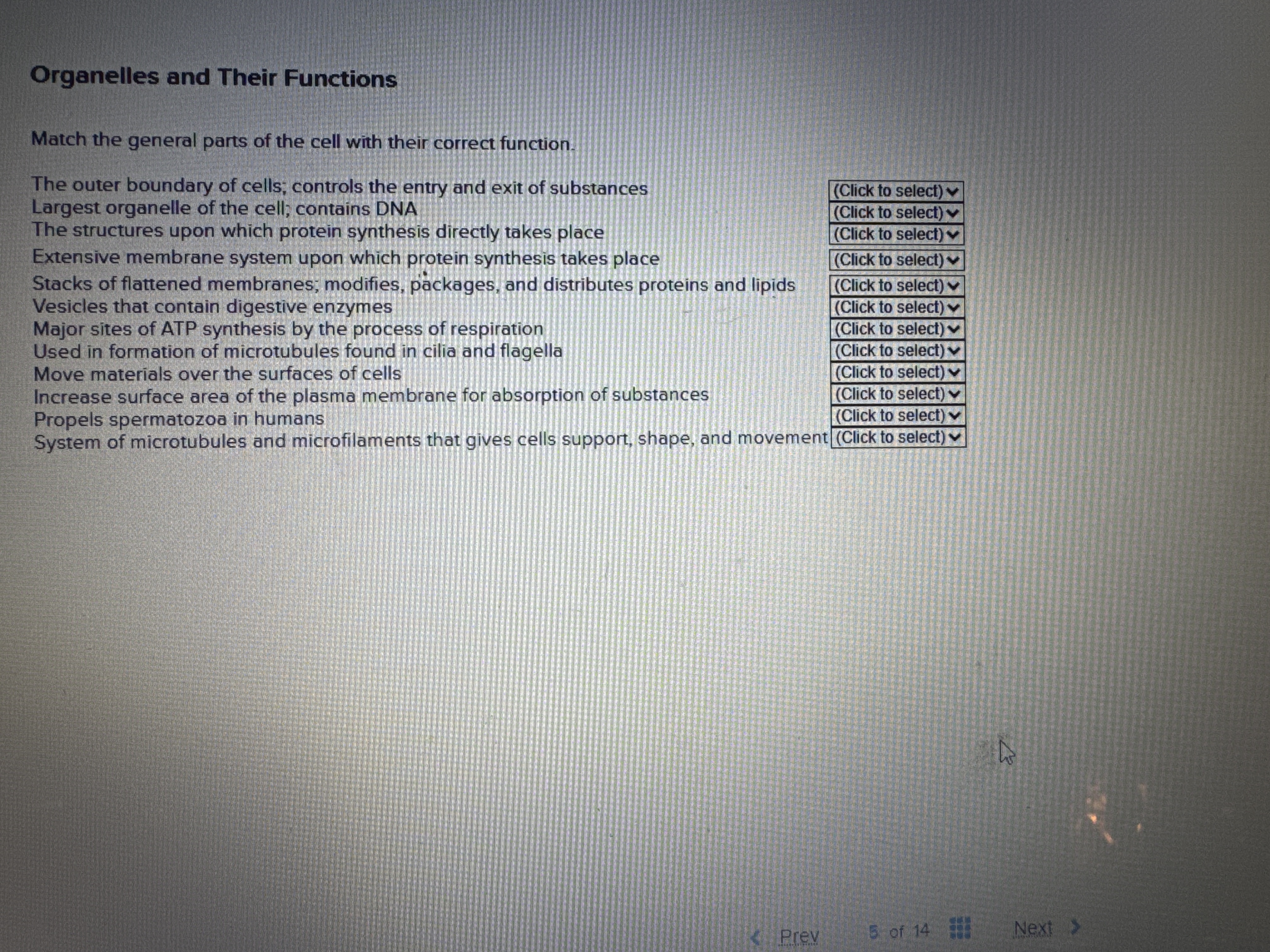 Fill in the blank Organelles and Their Functions