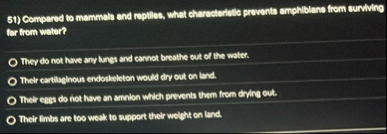 Compared to mammetr and reptice, what