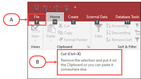 What are the labeled components in the image shown below called?Access2019L1_M4_Q4.jpg Group