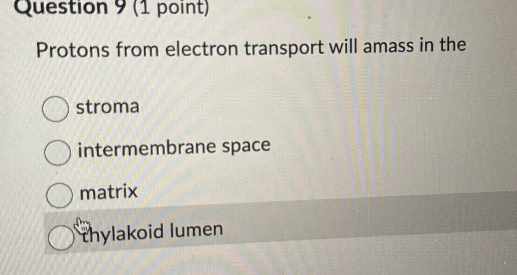 Search Question 9 (1 point) Protons from electron