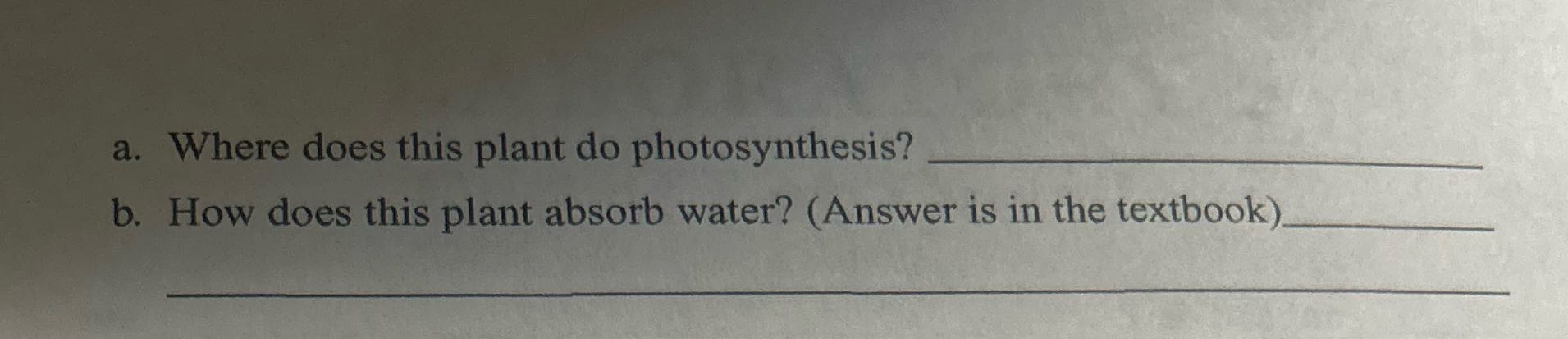 a. Where does this plant do photosynthesis? b.