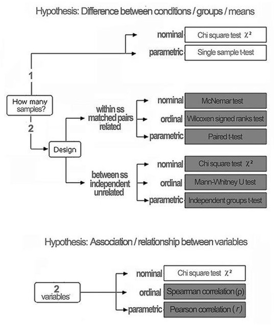Identify your research question. Identify the