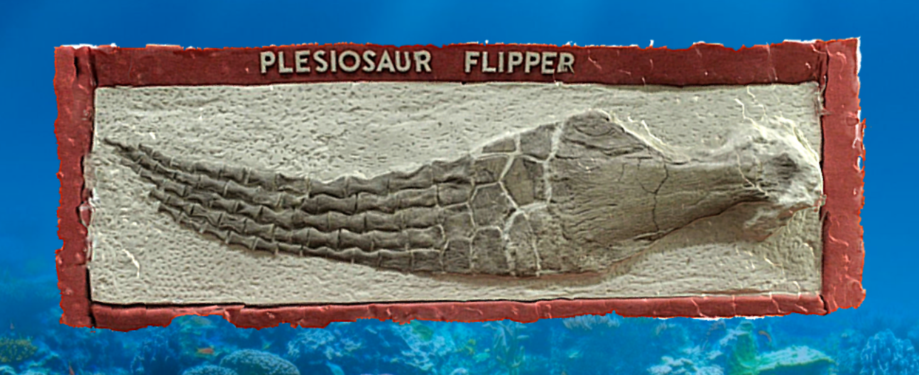 There are more ________ present than any other