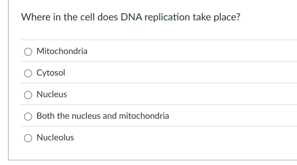 answer Where in the cell does DNA replication