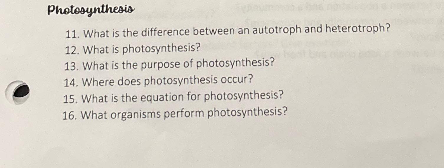 Photosynthesis 11. What is the difference between