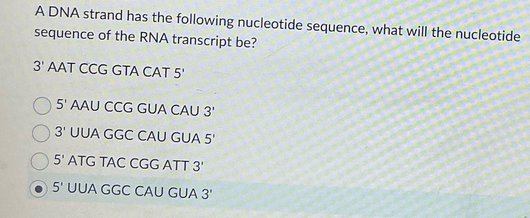 A DNA strand has the following nucleotide
