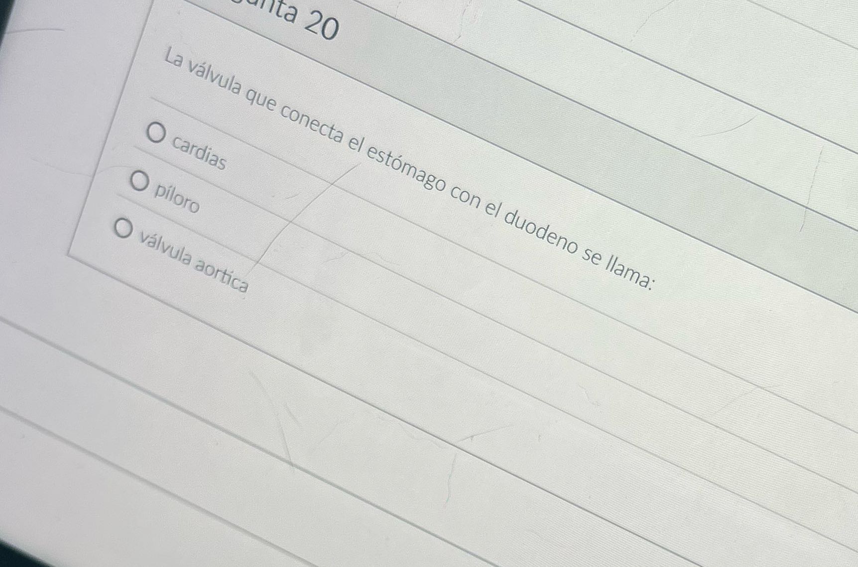 ita 20 La valvula que conecta el estomago con el