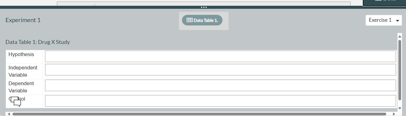 EXPLORATION EXPERIMENTATION EVALUATION Exercise 1