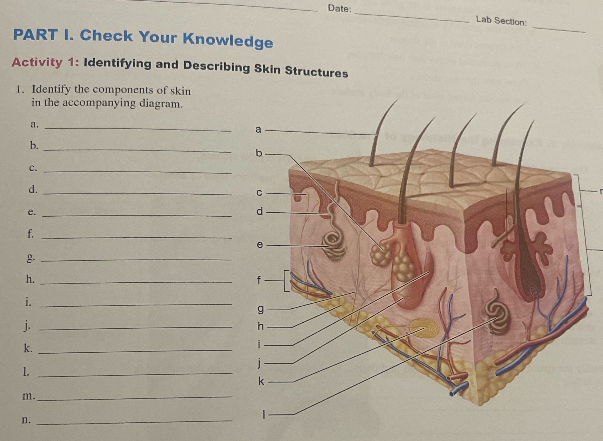 Solve Date: Lab Section: PART I. Check Your