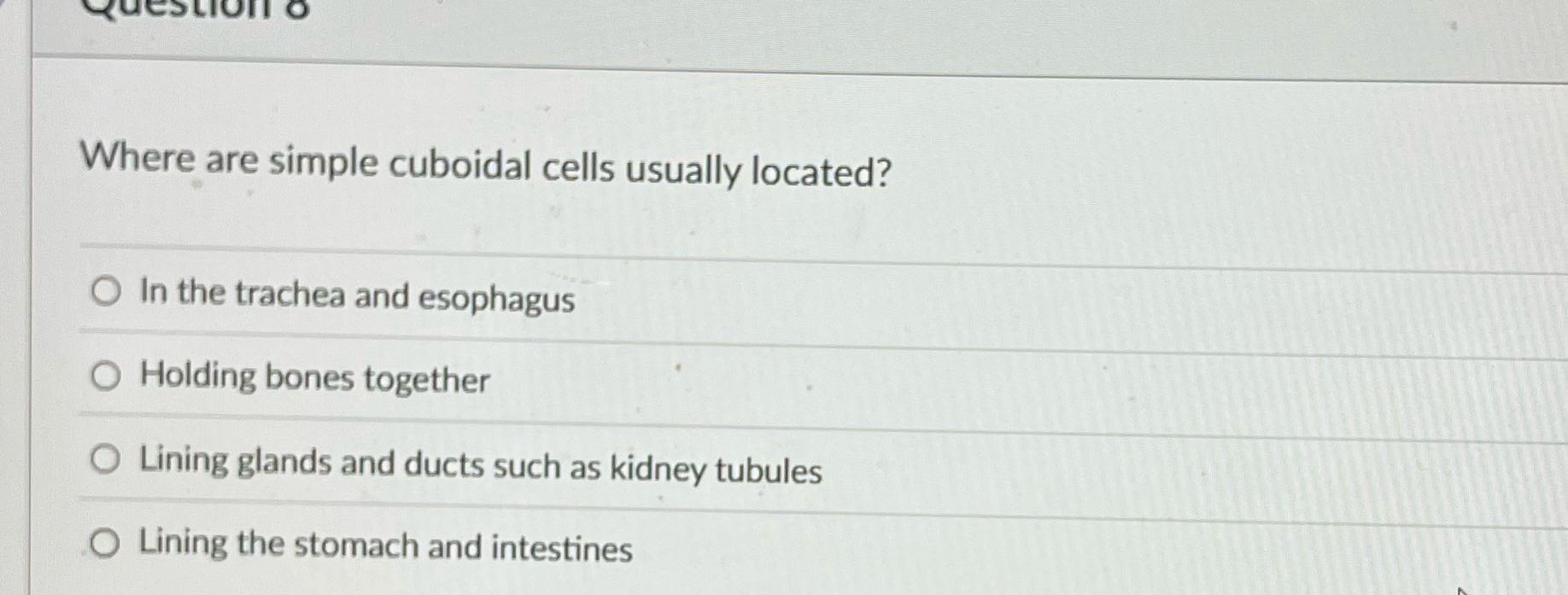 QUESTION O Where are simple cuboidal cells